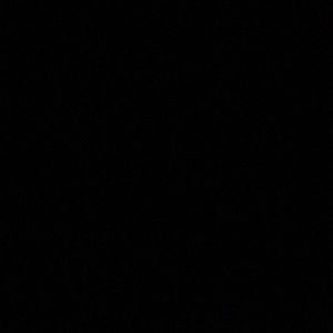 Meet your Posher, Phillip